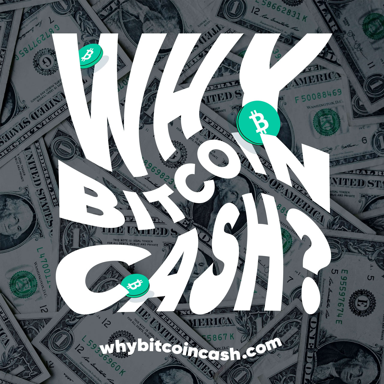 whybch-promotion-1-square_logo